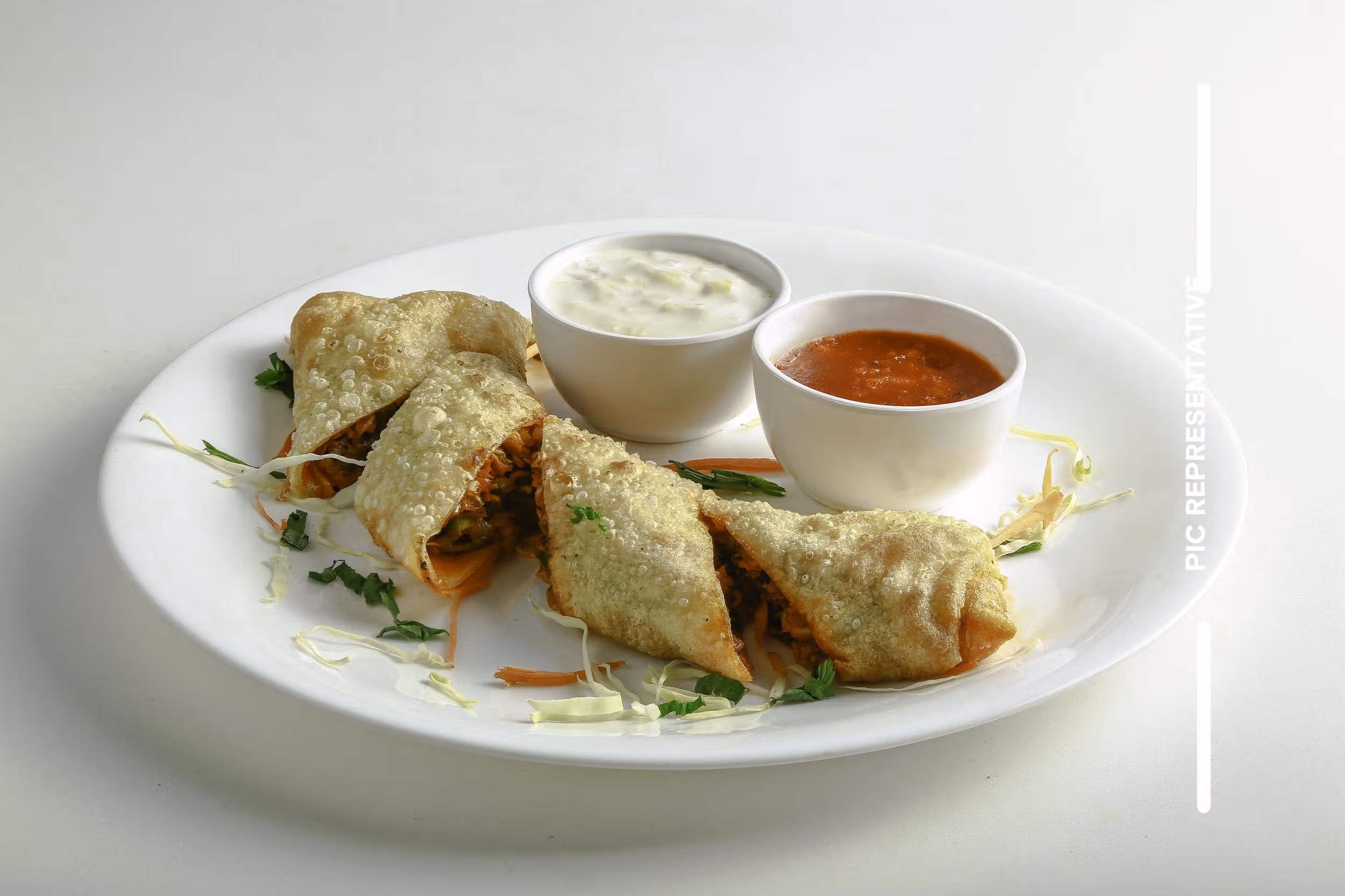 Crunchy Chicken Spring Roll